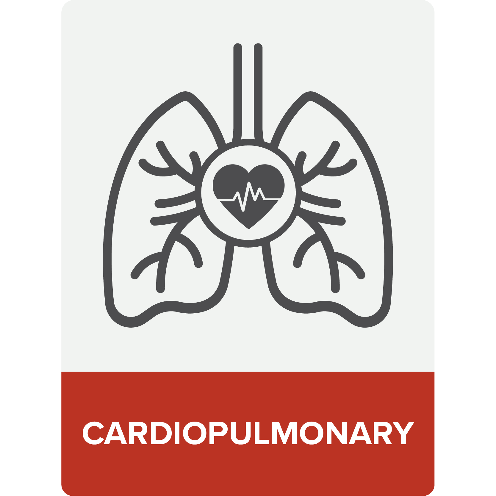 heart and lungs icon with the word "cardiopulmonary" on a red background